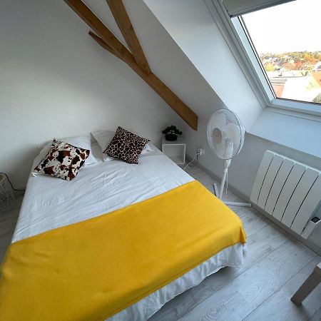 Esprit Jaune - Cosy Studio Salengro - Sauna & Sport Club Mulhouse Dış mekan fotoğraf