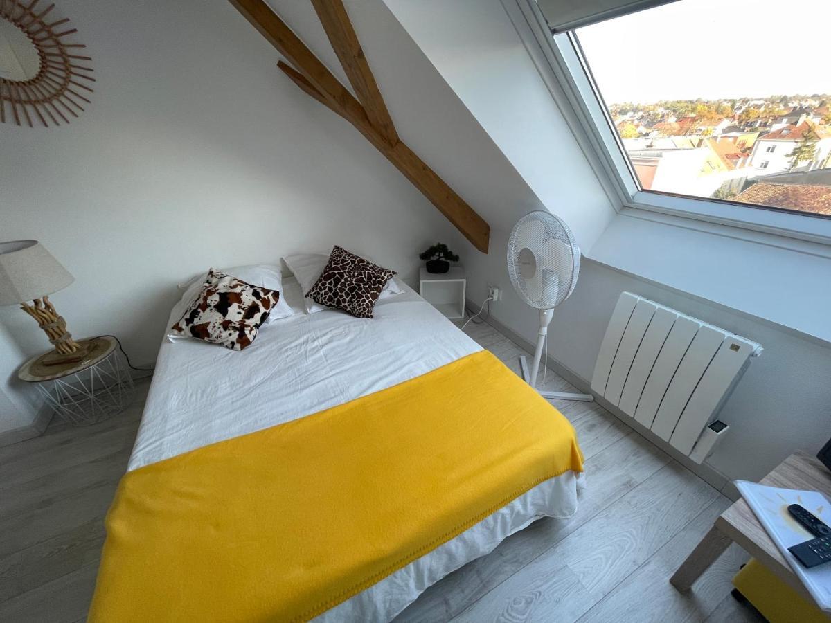 Esprit Jaune - Cosy Studio Salengro - Sauna & Sport Club Mulhouse Dış mekan fotoğraf